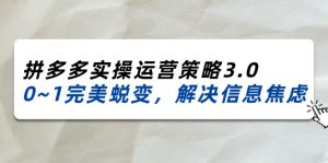 (11658期)2024_2025拼多多实操运营策略3.0,0~1完美蜕变,解决信息焦虑(38节)-网创之道