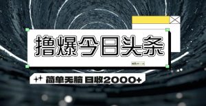 (11665期)撸爆今日头条 简单无脑操作 日收2000+-网创之道