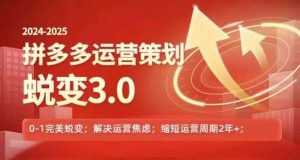 2024-2025拼多多运营策略蜕变3.0，0~1完美蜕变，解决信息焦虑-网创之道