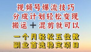 视频号爆流技巧，分成计划轻松变现，搬运 +混剪就可以，一个月轻松五位数稳定项目【揭秘】-网创之道