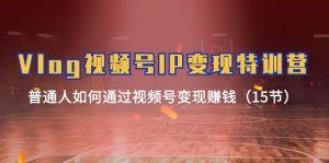 Vlog视频号IP变现特训营,普通人如何通过视频号变现赚钱(15节)-网创之道