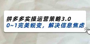 2024-2025拼多多实操运营策略3.0,0~1完美蜕变,解决信息焦虑(38节)-网创之道