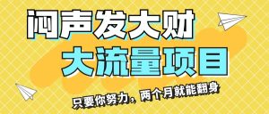 （11688期）闷声发大财，大流量项目，月收益过3万，只要你努力，两个月就能翻身-网创之道