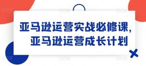 亚马逊运营实战必修课，亚马逊运营成长计划-网创之道