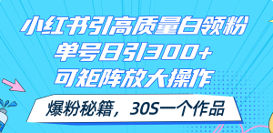 (11692期)小红书引高质量白领粉,单号日引300+,可放大操作,爆粉秘籍!30s一个作品-网创之道