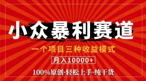 (11695期)视频号【中老年粉深信不疑】小众赛道 100%原创 手把手教学 新号3天收益…-网创之道