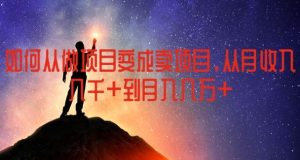 如何从做项目变成卖项目，从月收入几千到月入几万【揭秘】-网创之道