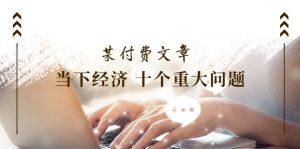 公众号付费文章《当下经济 十个重大问题》覆盖了大家关心的全部经济类话题-网创之道
