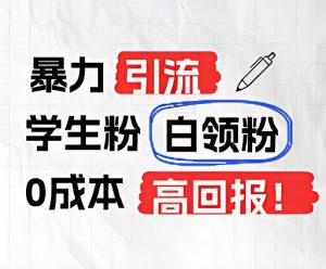 暴力引流学生粉白领粉，吊打以往垃圾玩法，0成本，高回报-网创之道