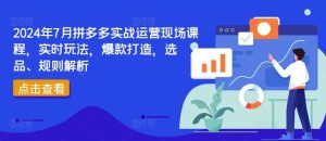 2024年7月拼多多实战运营现场课程,实时玩法,爆款打造,选品、规则解析-网创之道