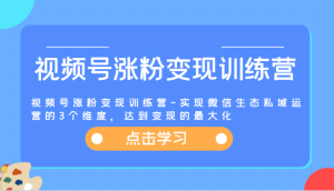视频号涨粉变现训练营-实现微信生态私域运营的3个维度，达到变现的最大化-网创之道