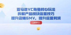 （11848期）亚马逊VC账号核心玩法，拆解产品模块运营技巧，提升店铺GMV，提升运营利润-网创之道