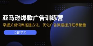 （11858期）亚马逊爆款广告训练营：掌握关键词库搭建方法，优化广告数据提升旺季销量-网创之道