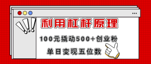 （11859期）利用杠杆100元撬动500+创业粉，单日变现5位数-网创之道