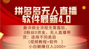 (11891期)拼多多无人直播软件最新4.0,最详细全流程无需露脸,0粉丝0资金, 小白…-网创之道