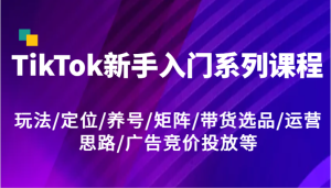 TikTok新手入门系列课程,玩法/定位/养号/矩阵/带货选品/运营思路/广告竞价投放等-网创之道