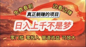 （11866期）免费看剧，边看边赚，日入上千不是梦，一个真正的躺赚项目-网创之道