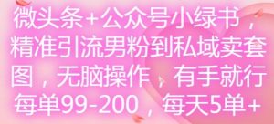 微头条+公众号小绿书，精准引流男粉到私域卖套图，无脑操作，有手就行，每单99-200，每天5单-网创之道