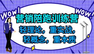 营销陪跑训练营，轻理论，重实战，轻概念，重本质，适合中小企业和初创企业的老板-网创之道
