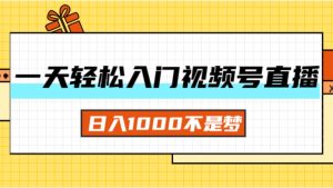 (11906期)一天入门视频号直播带货,日入1000不是梦-网创之道