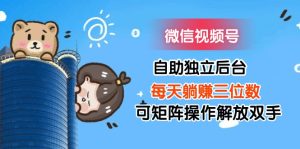 (11910期)微信视频号自助独立后台每天躺赚三位数可矩阵操作解放双手-网创之道