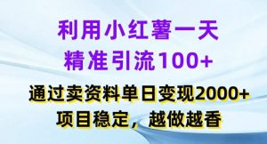利用小红书一天精准引流100+,通过卖项目单日变现2k+,项目稳定,越做越香【揭秘】-网创之道