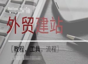 WordPress外贸建站+SEO优化课程【教程，工具，流程】-网创之道