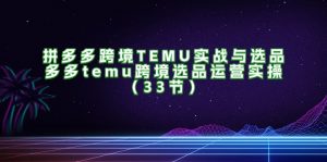 (11934期)拼多多跨境TEMU实战与选品,多多temu跨境选品运营实操(33节)-网创之道