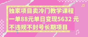 独家项目卖冷门教学课程一单88元单日变现5632元违规不封号长期项目【揭秘】-网创之道