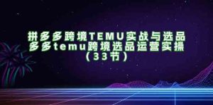 拼多多跨境TEMU实战与选品,多多temu跨境选品运营实操(33节)-网创之道