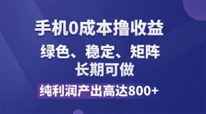 （11976期）纯利润高达800+，手机0成本撸羊毛，项目纯绿色，可稳定长期操作！-网创之道