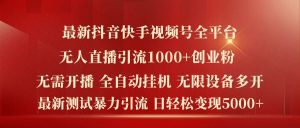 最新抖音快手视频号全平台无人直播引流1000+精准创业粉,日轻松变现5k+【揭秘】-网创之道