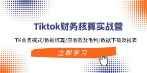 （11978期）Tiktok财务核算实战营：TK业务模式/数据核算/应收款及毛利/数据下载及报表-网创之道