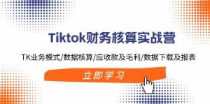 Tiktok财务核算实战营:TK业务模式/数据核算/应收款及毛利/数据下载及报表-网创之道
