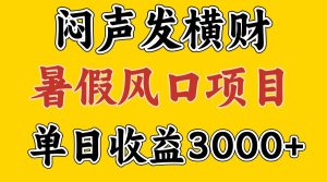 30天赚了7.5W 暑假风口项目，比较好学，2天左右上手-网创之道
