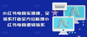 小红书电商实操课，全体系打造全方位梳理小红书电商逻辑体系-网创之道