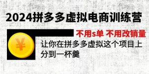 (12024期)2024拼多多虚拟电商训练营 不s单 不改销量 做虚拟项目分一杯羹(更新10节)-网创之道
