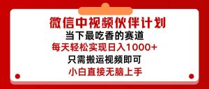 (12017期)微信中视频伙伴计划,仅靠搬运就能轻松实现日入500+,关键操作还简单,…-网创之道