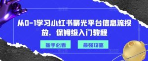 从0-1学习小红书聚光平台信息流投放,保姆级入门教程-网创之道