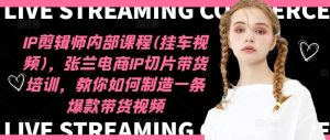 IP剪辑师内部课程(挂车视频)，张兰电商IP切片带货培训，教你如何制造一条爆款带货视频-网创之道