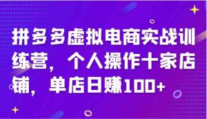 拼多多虚拟电商实战训练营，个人操作十家店铺，单店日赚100+-网创之道