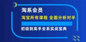 淘系会员初级到高手全系实战宝典【淘宝所有课程,全面分析对手】-网创之道