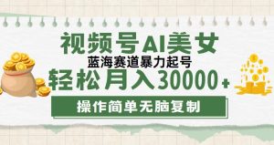（12087期）视频号AI美女跳舞，轻松月入30000+，蓝海赛道，流量池巨大，起号猛，无…-网创之道