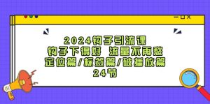 （12097期）2024钩子·引流课：钩子下得好 流量不再愁，定位篇/标签篇/破播放篇/24节-网创之道