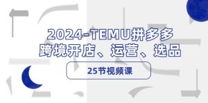 (12106期)2024-TEMU拼多多·跨境开店、运营、选品(25节视频课)-网创之道