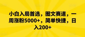 小白入局首选，图文赛道，一周涨粉5000+，简单快捷，日入200+-网创之道