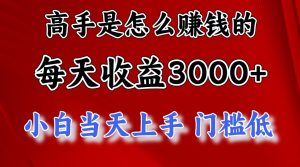 (12144期)1天收益3000+,月收益10万以上,24年8月份爆火项目-网创之道