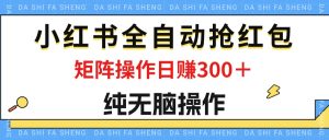 （12151期）最新小红书全自动抢红包，单号一天50＋  矩阵操作日入300＋，纯无脑操作-网创之道