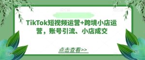 TikTok短视频运营+跨境小店运营,账号引流、小店成交-网创之道