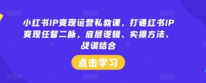 小红书IP变现运营私教课,打通红书IP变现任督二脉,底层逻辑、实操方法、战训结合-网创之道